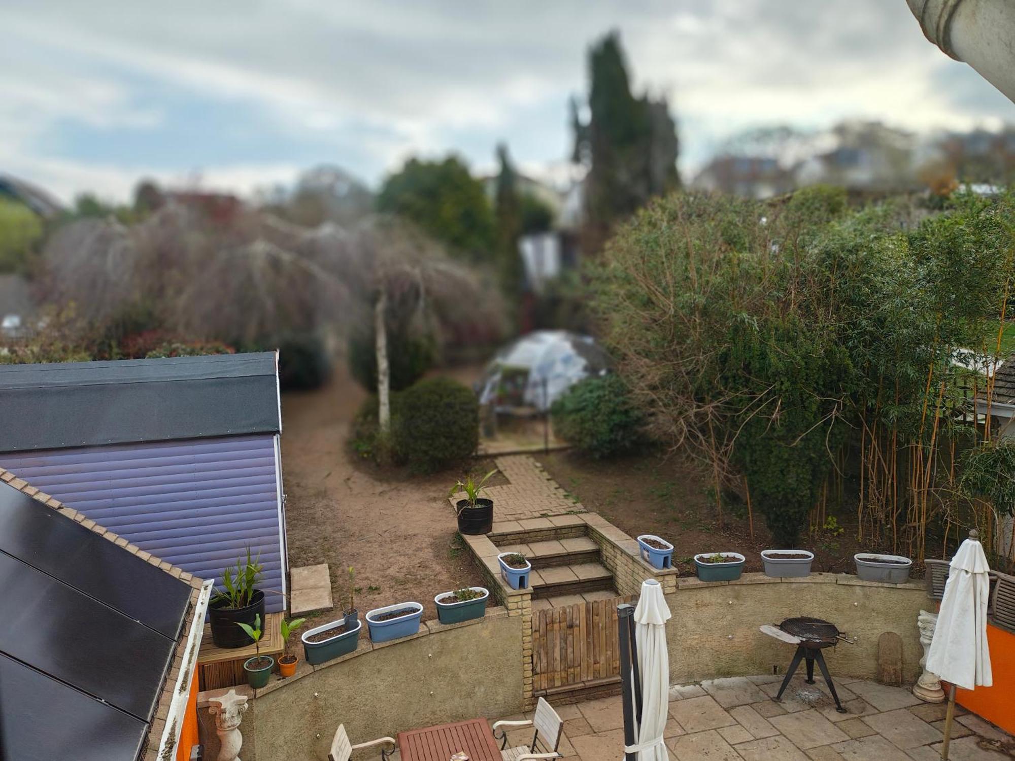 Aller Park, Newton Abbot Zewnętrze zdjęcie